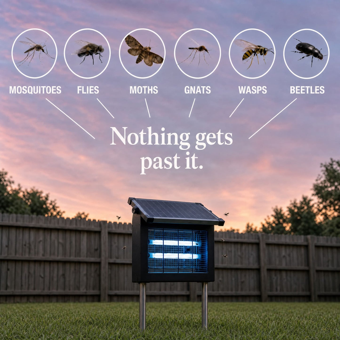 Wild Horyzon™ — Solar Bug Zapper